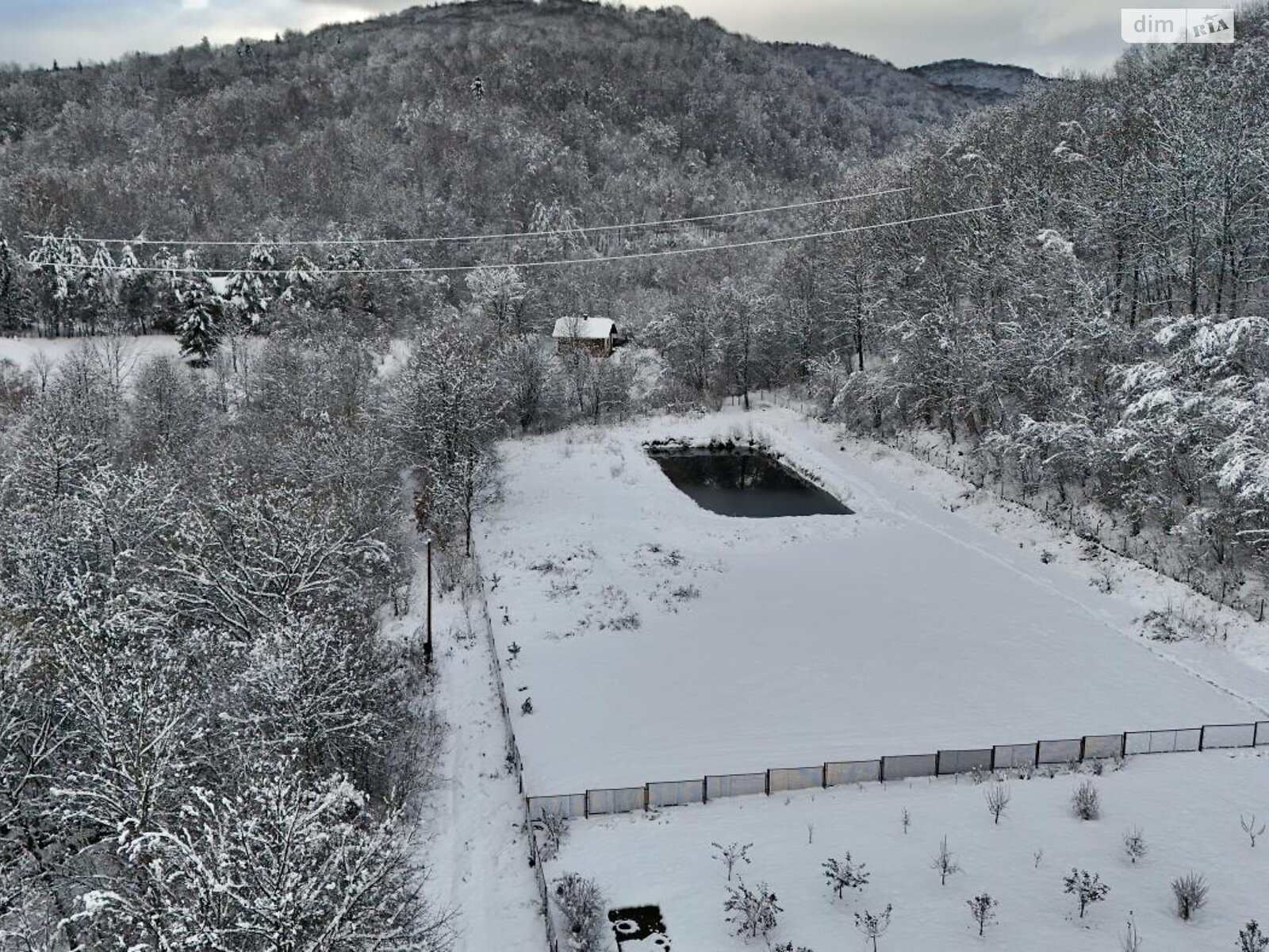 Земельна ділянка сільськогосподарського призначення в Верхньому Синьовидному, площа 44 сотки фото 1 Земельна ділянка сільськогосподарського призначення в Верхньому Синьовидному, площа 44 сотки фото 1