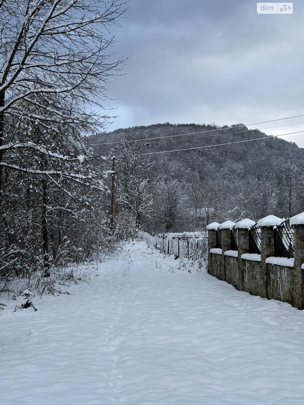 Земельна ділянка сільськогосподарського призначення в Верхньому Синьовидному, площа 44 сотки фото 1 Земельна ділянка сільськогосподарського призначення в Верхньому Синьовидному, площа 44 сотки фото 1