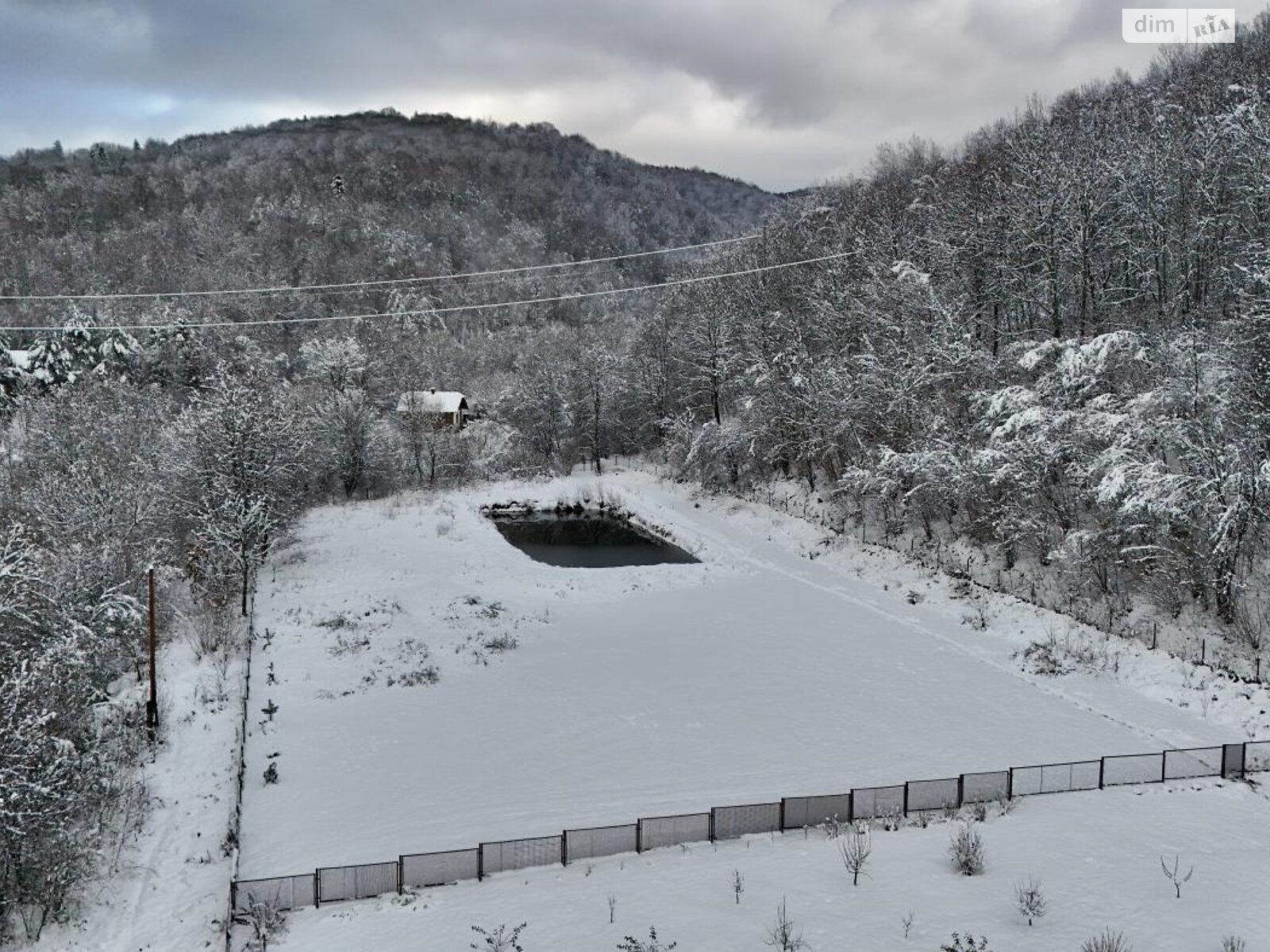 Земельна ділянка сільськогосподарського призначення в Верхньому Синьовидному, площа 44 сотки фото 1 Земельна ділянка сільськогосподарського призначення в Верхньому Синьовидному, площа 44 сотки фото 1