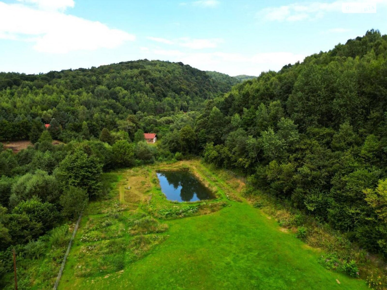 Земельна ділянка сільськогосподарського призначення в Верхньому Синьовидному, площа 44 сотки фото 1 Земельна ділянка сільськогосподарського призначення в Верхньому Синьовидному, площа 44 сотки фото 1
