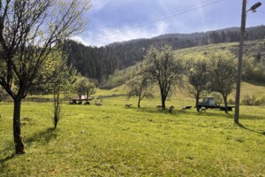 Земельна ділянка сільськогосподарського призначення в Верхньому Бистрому, площа 17 соток фото 2