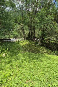 Земельна ділянка сільськогосподарського призначення в Верхньому Бистрому, площа 29.06 сотки фото 2