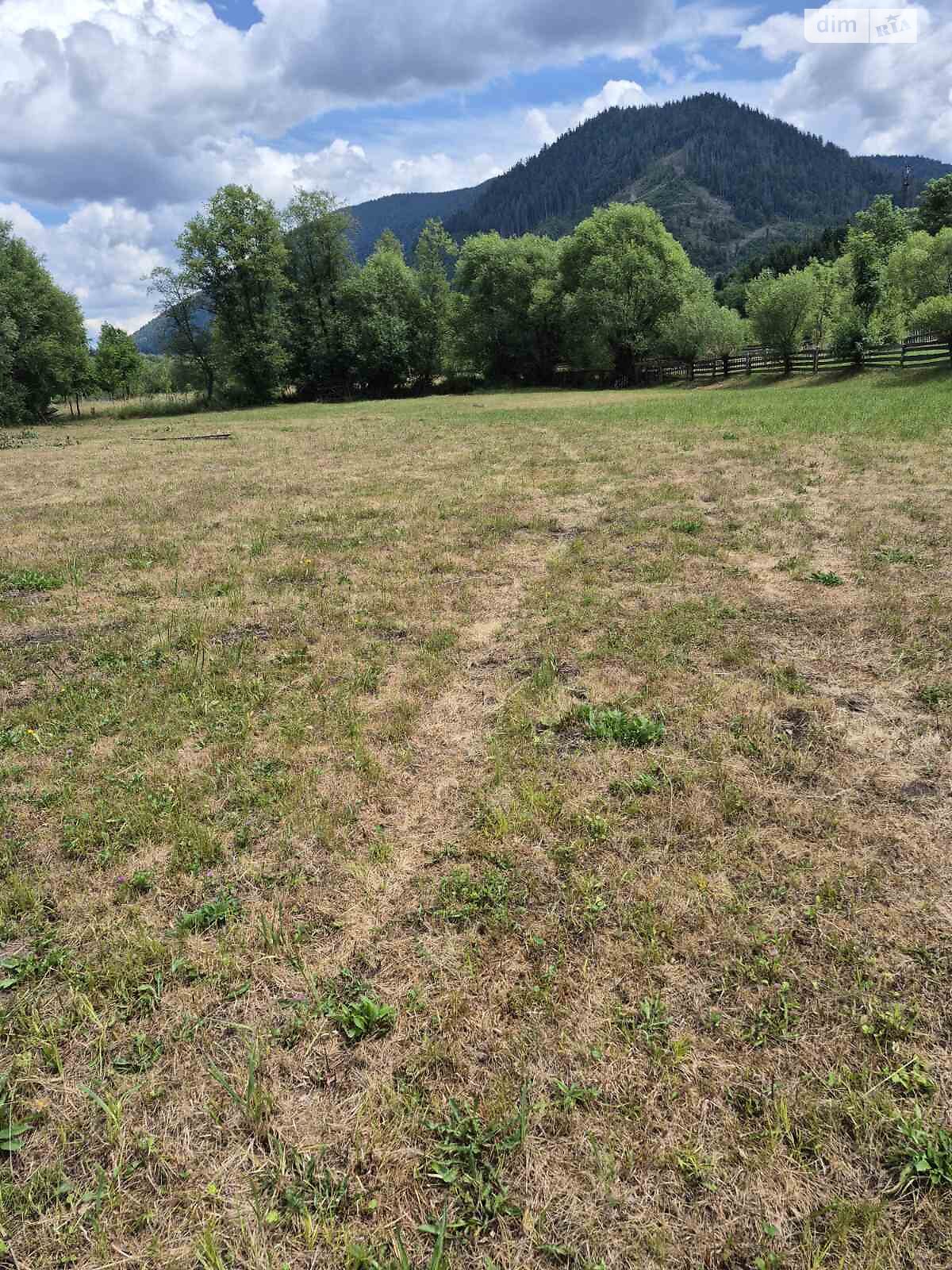 Земельна ділянка сільськогосподарського призначення в Верхньому Бистрому, площа 29.06 сотки фото 1