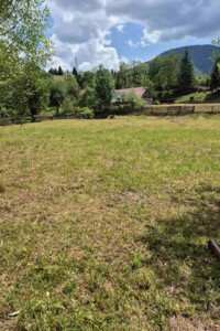 Земельна ділянка сільськогосподарського призначення в Верхньому Бистрому, площа 10.97 сотки фото 2