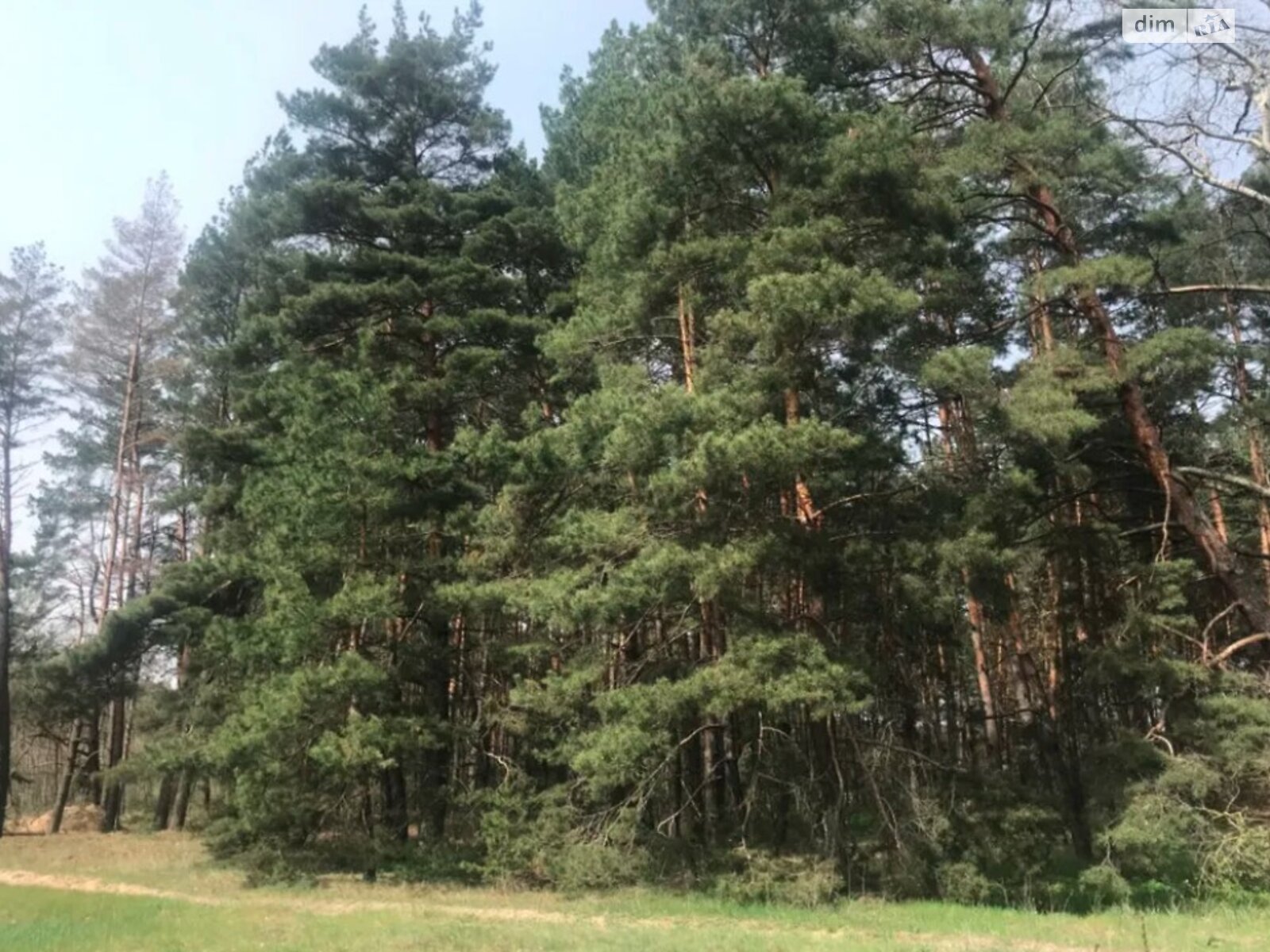 Земельна ділянка сільськогосподарського призначення в Верхолмх, площа 12 соток фото 1