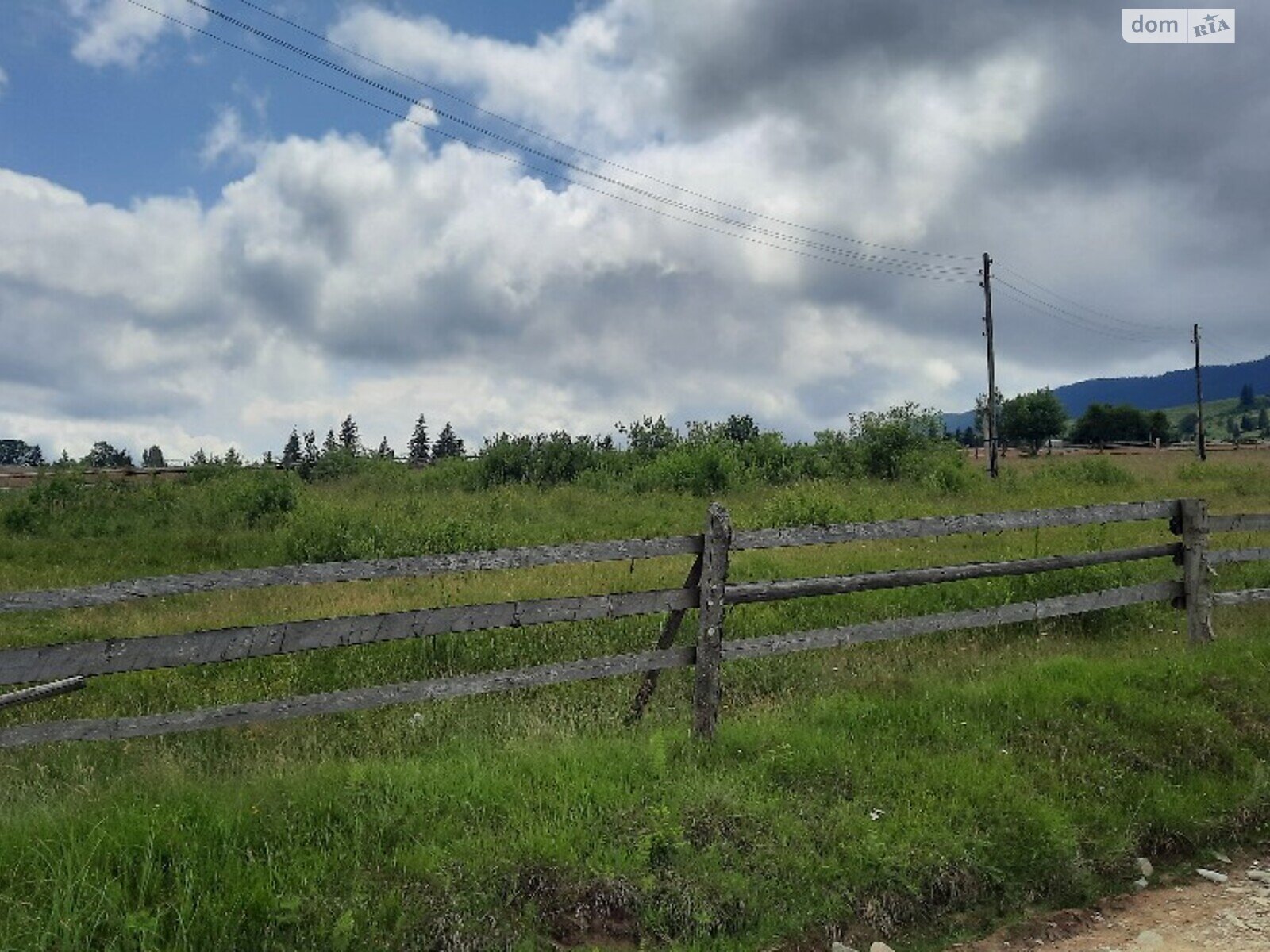 Земельный участок сельскохозяйственного назначения в Кривополье, площадь 23 сотки фото 1