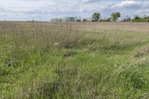 Земельна ділянка сільськогосподарського призначення в Веселій Слобідці, площа 11 Га фото 2