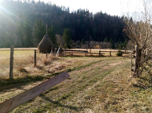 Земля сельскохозяйственного назначения в селе Лопушна, площадь 25 соток фото 1 Земля сельскохозяйственного назначения в селе Лопушна, площадь 25 соток фото 1