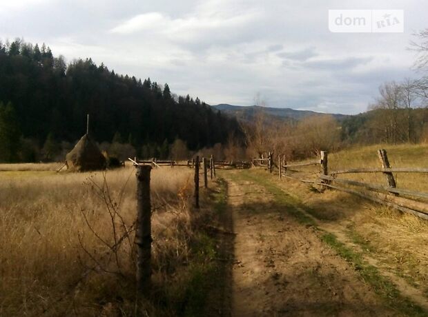 Земля сельскохозяйственного назначения в селе Лопушна, площадь 25 соток фото 1 Земля сельскохозяйственного назначения в селе Лопушна, площадь 25 соток фото 1