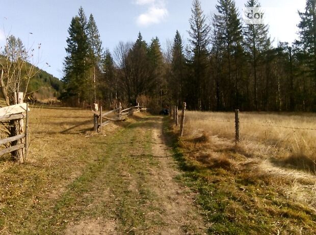 Земля сельскохозяйственного назначения в селе Лопушна, площадь 25 соток фото 1 Земля сельскохозяйственного назначения в селе Лопушна, площадь 25 соток фото 1