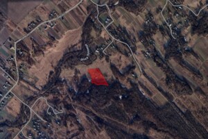 Земельный участок сельскохозяйственного назначения в Викторове, площадь 1 Га фото 2