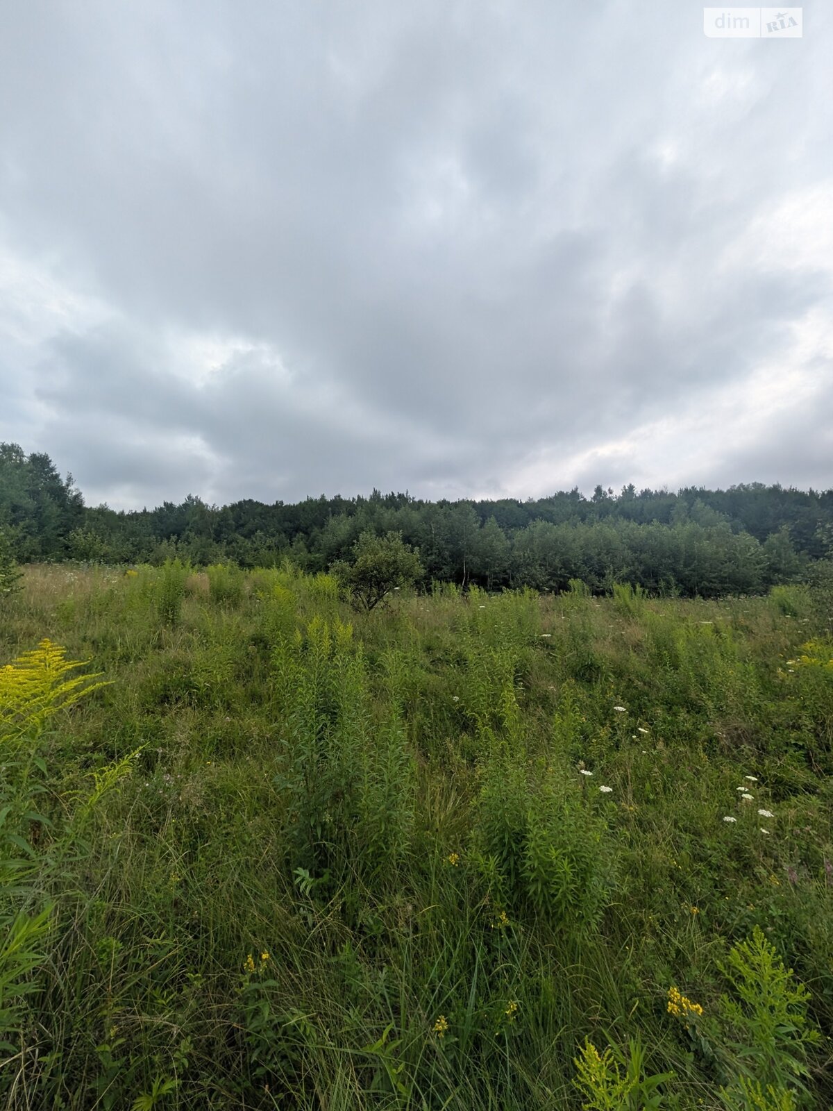 Земельный участок сельскохозяйственного назначения в Викторове, площадь 1 Га фото 1