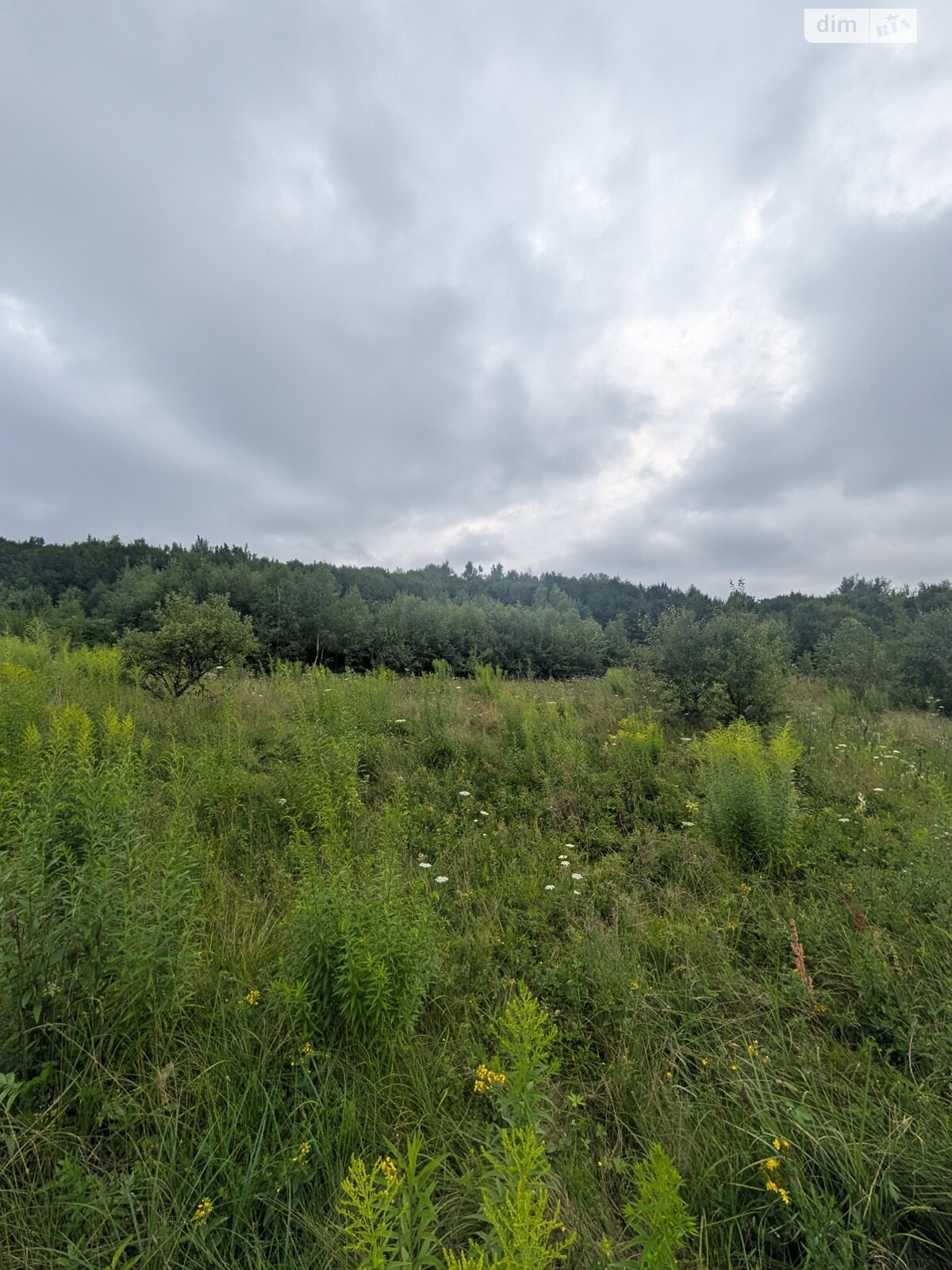 Земельный участок сельскохозяйственного назначения в Викторове, площадь 1 Га фото 1