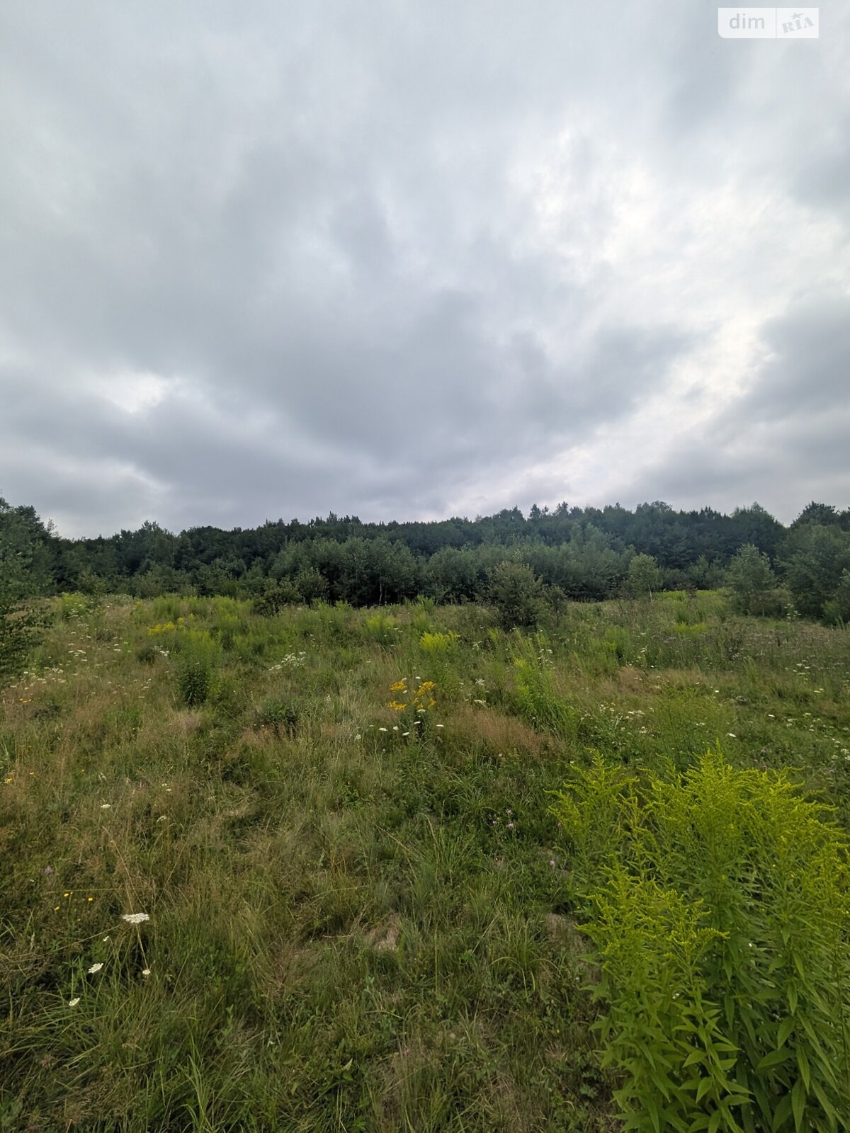 Земельный участок сельскохозяйственного назначения в Викторове, площадь 1 Га фото 1