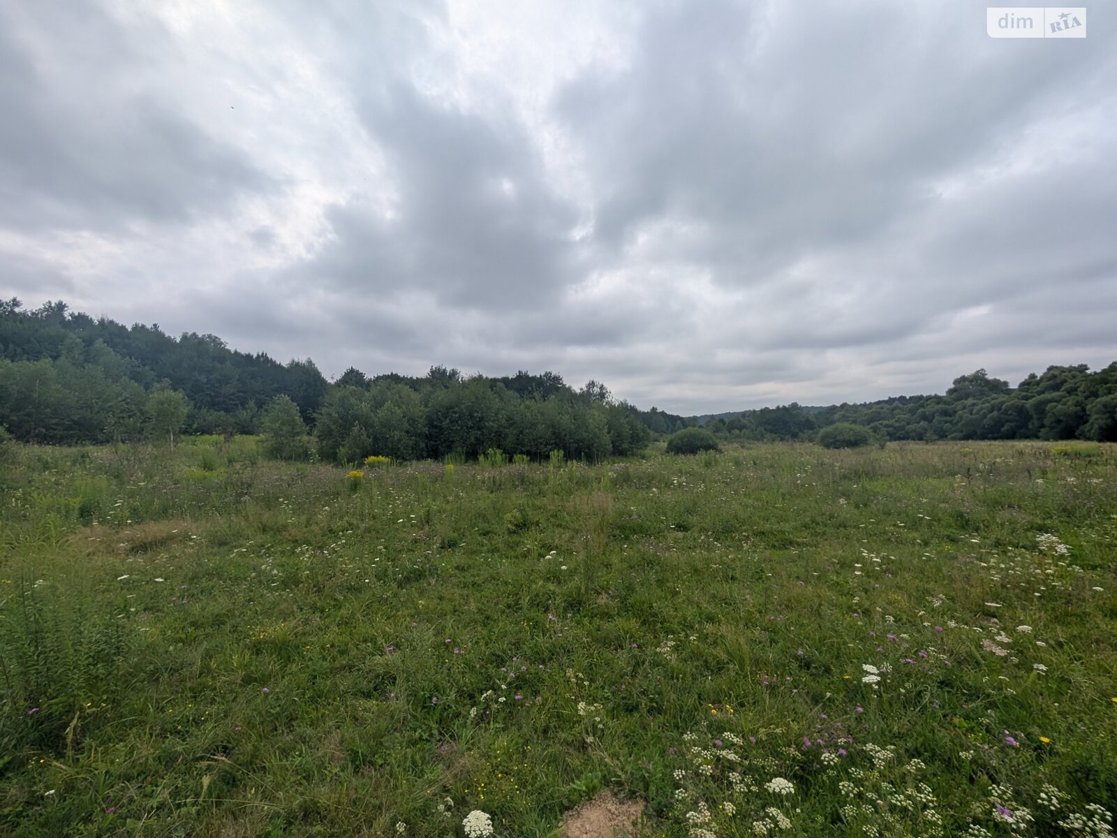 Земельный участок сельскохозяйственного назначения в Викторове, площадь 1 Га фото 1