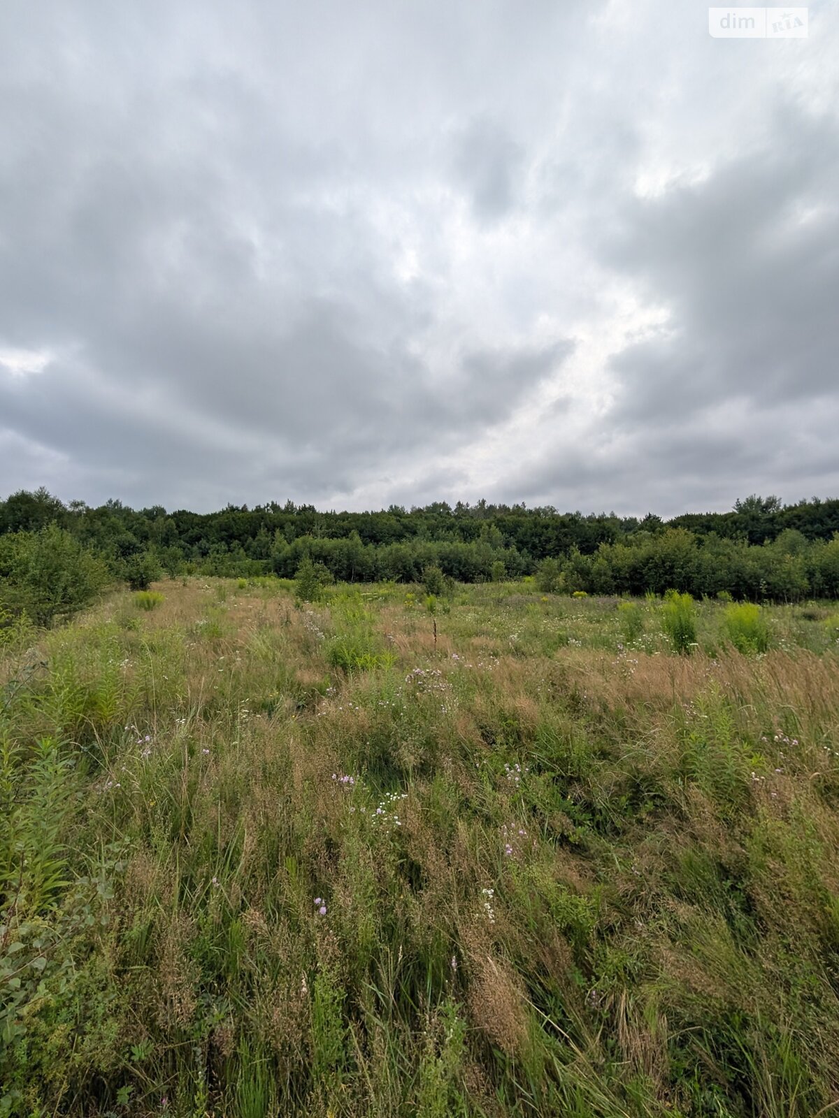 Земельный участок сельскохозяйственного назначения в Викторове, площадь 1 Га фото 1