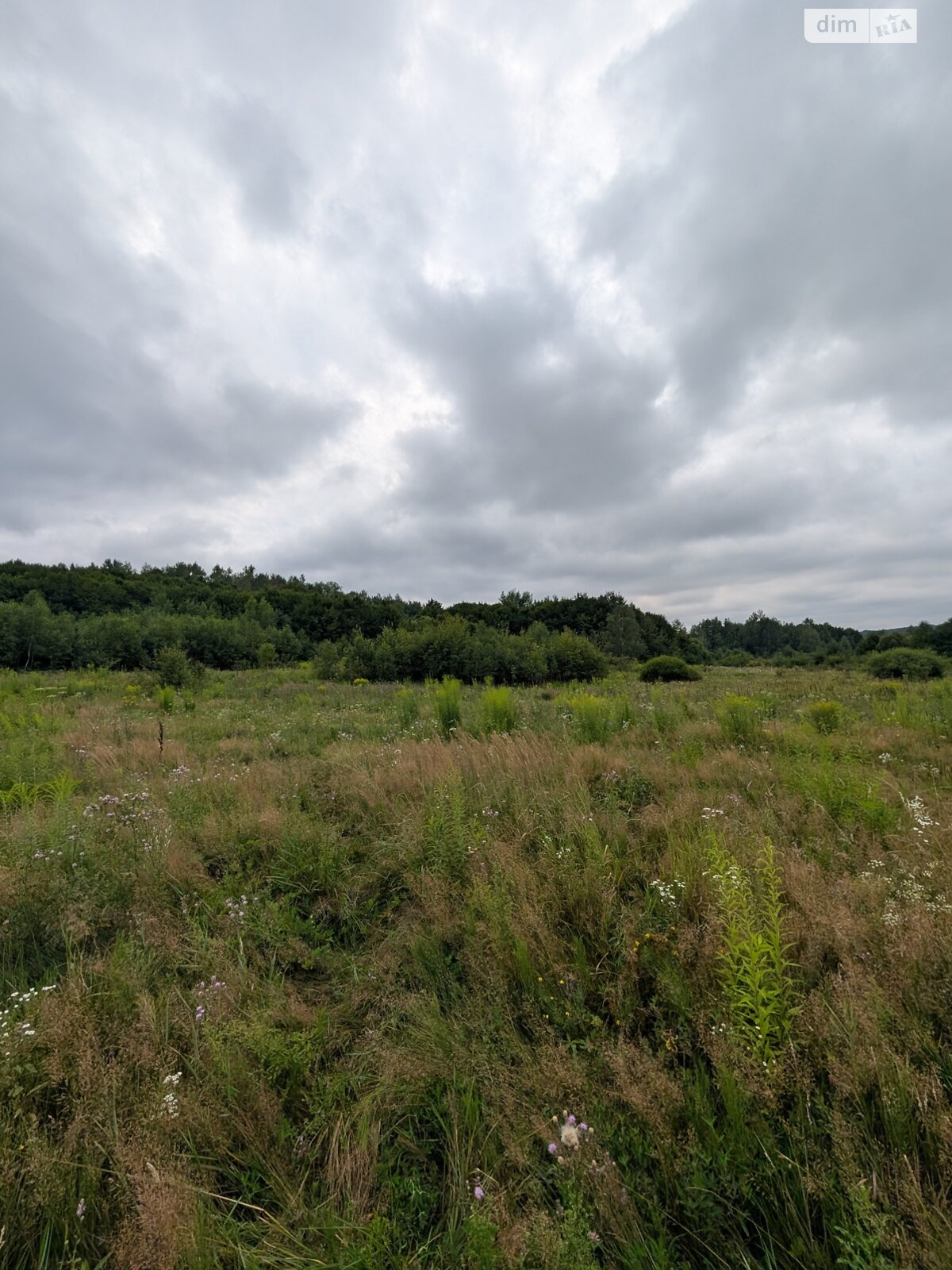 Земельный участок сельскохозяйственного назначения в Викторове, площадь 1 Га фото 1