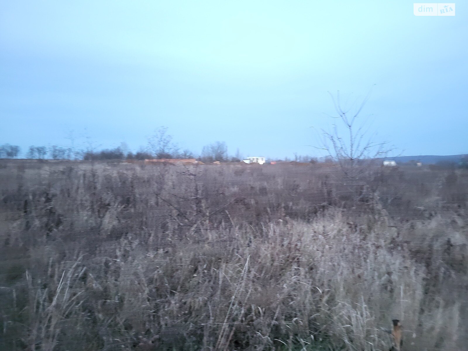 Земля сільськогосподарського призначення в Вінниці, район Академічний, площа 8 соток фото 1