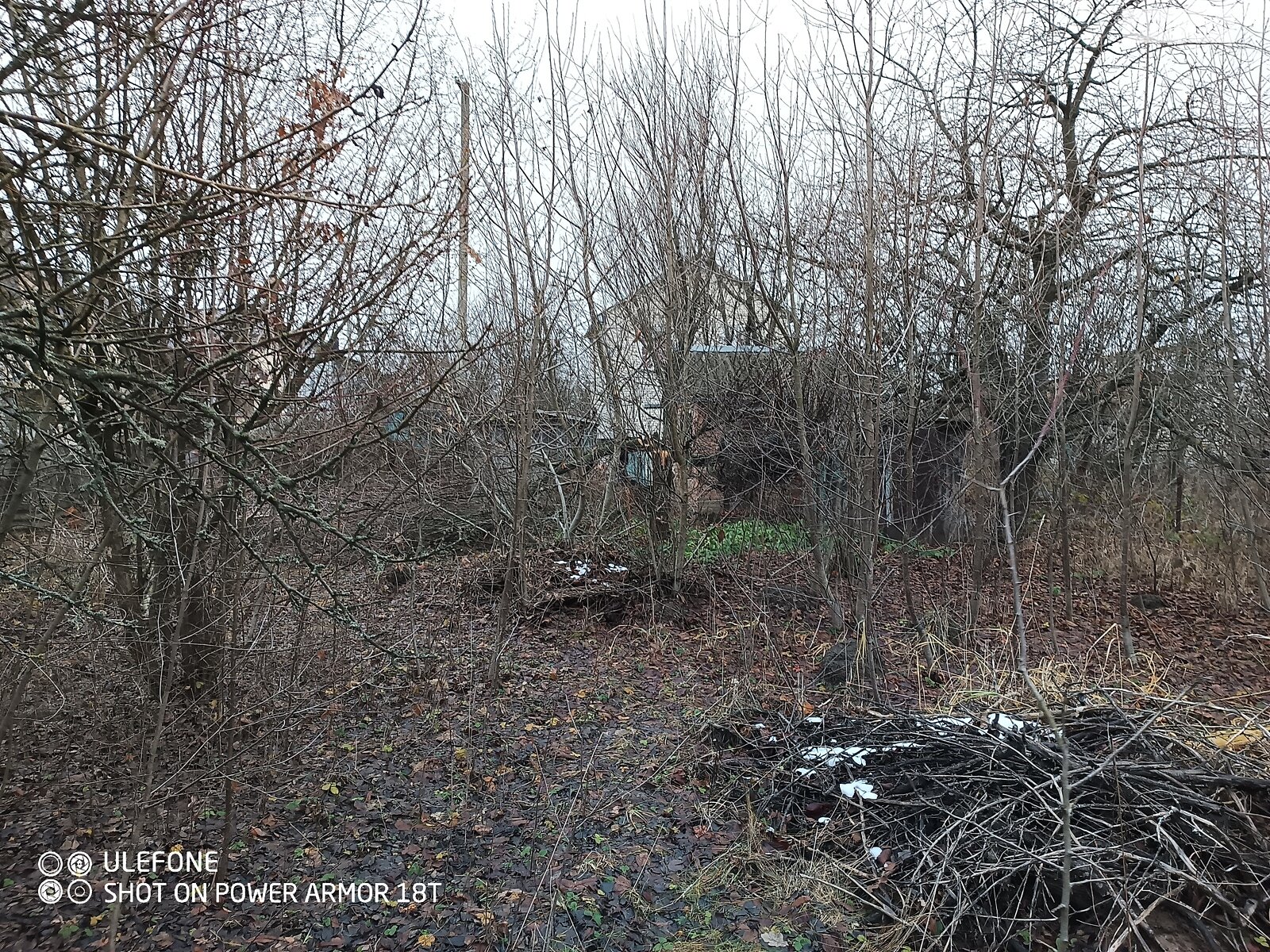 Земельна ділянка сільськогосподарського призначення в Агрономічному, площа 4 сотки фото 1