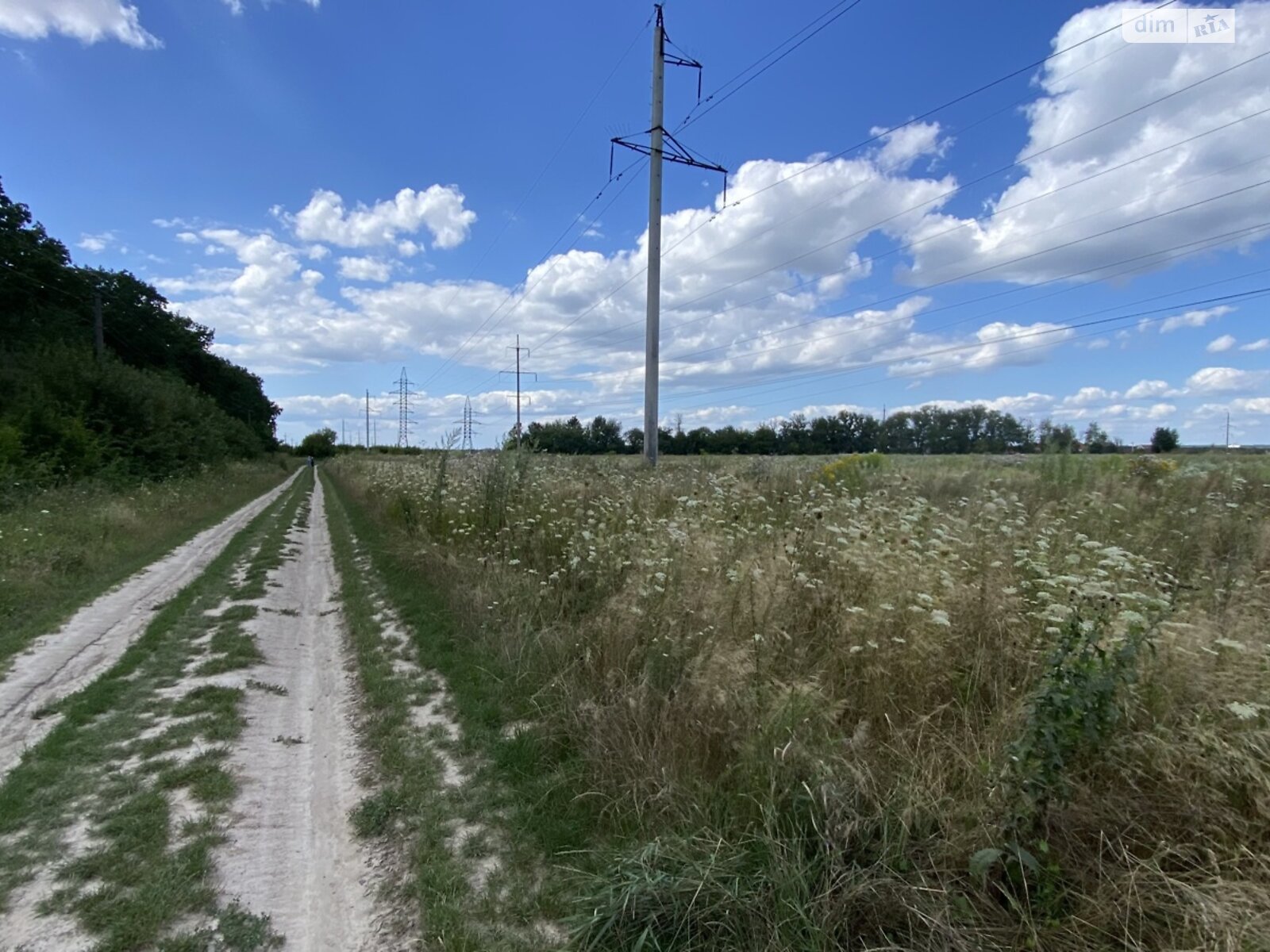 Земля сельскохозяйственного назначения в Виннице, район Академический, площадь 30 соток фото 1