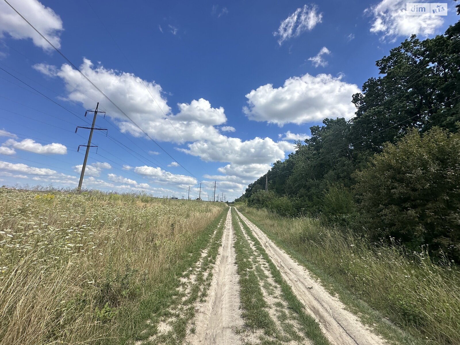 Земля сільськогосподарського призначення в Вінниці, район Академічний, площа 30 соток фото 1