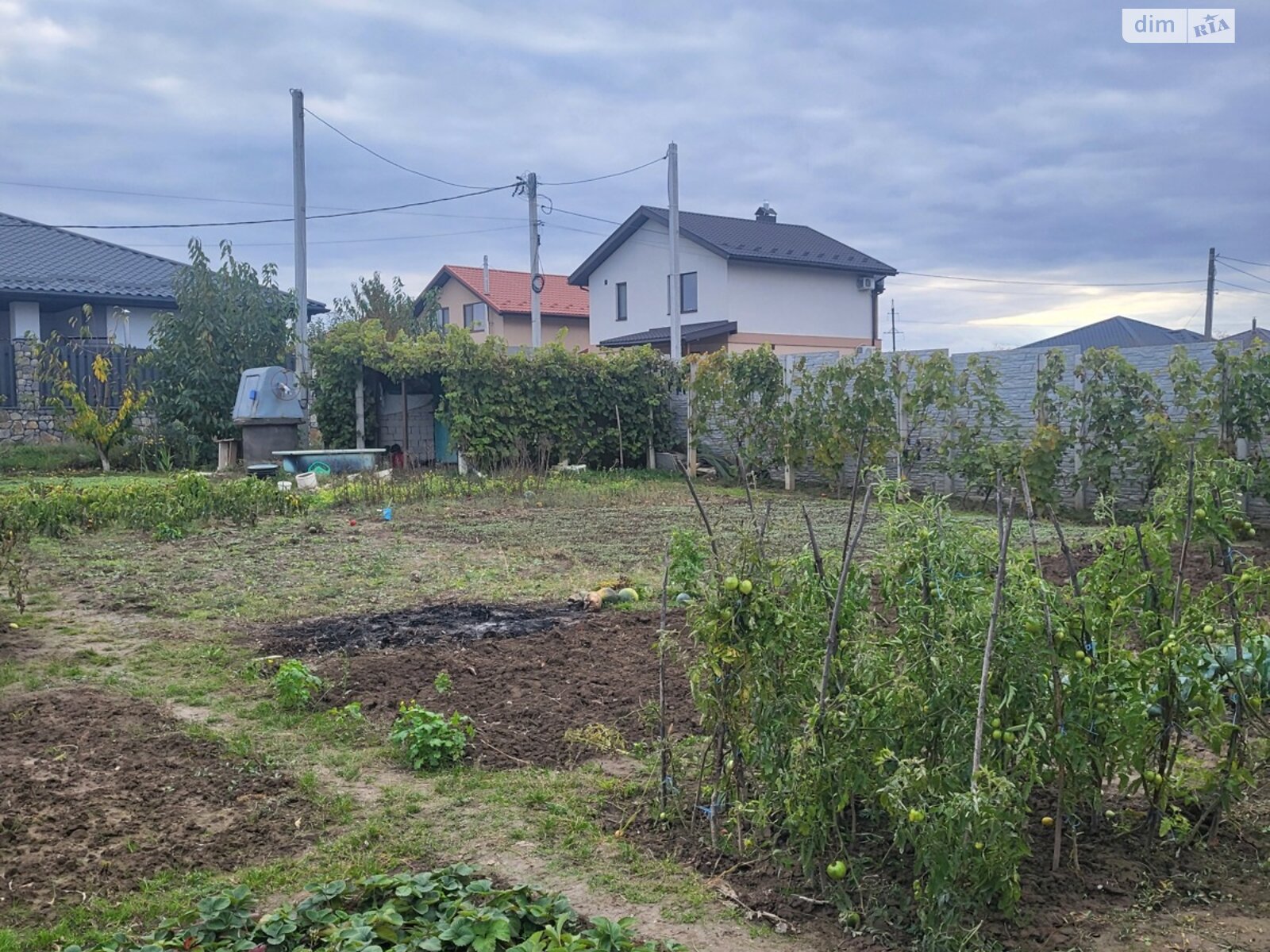Земля сельскохозяйственного назначения в Бохониках, район Ленинский, площадь 7 соток фото 1 Земля сельскохозяйственного назначения в Бохониках, район Ленинский, площадь 7 соток фото 1