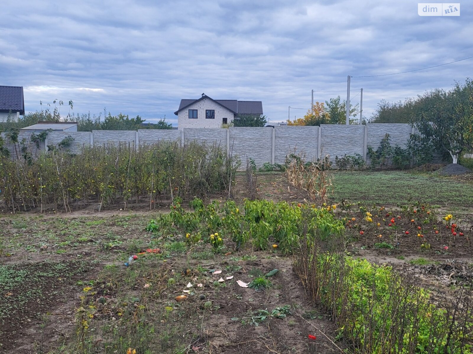 Земля сельскохозяйственного назначения в Бохониках, район Ленинский, площадь 7 соток фото 1 Земля сельскохозяйственного назначения в Бохониках, район Ленинский, площадь 7 соток фото 1
