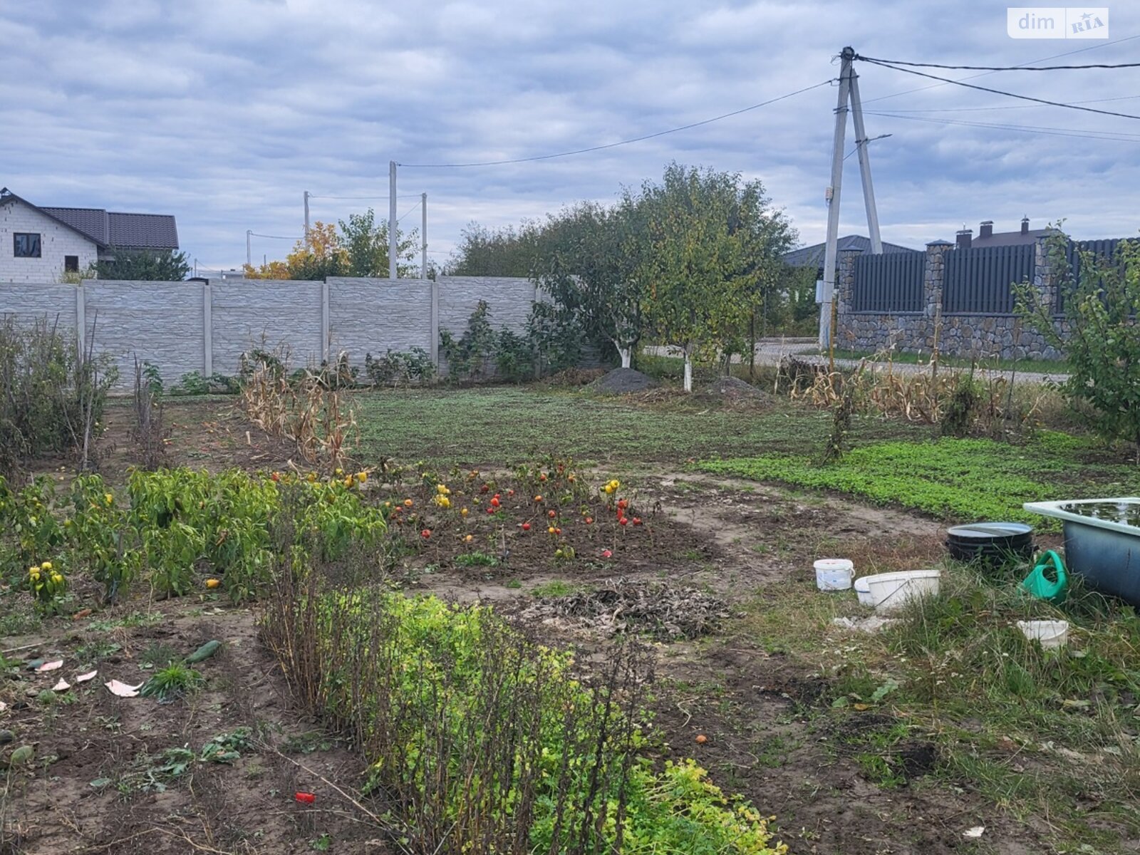 Земля сельскохозяйственного назначения в Бохониках, район Ленинский, площадь 7 соток фото 1 Земля сельскохозяйственного назначения в Бохониках, район Ленинский, площадь 7 соток фото 1