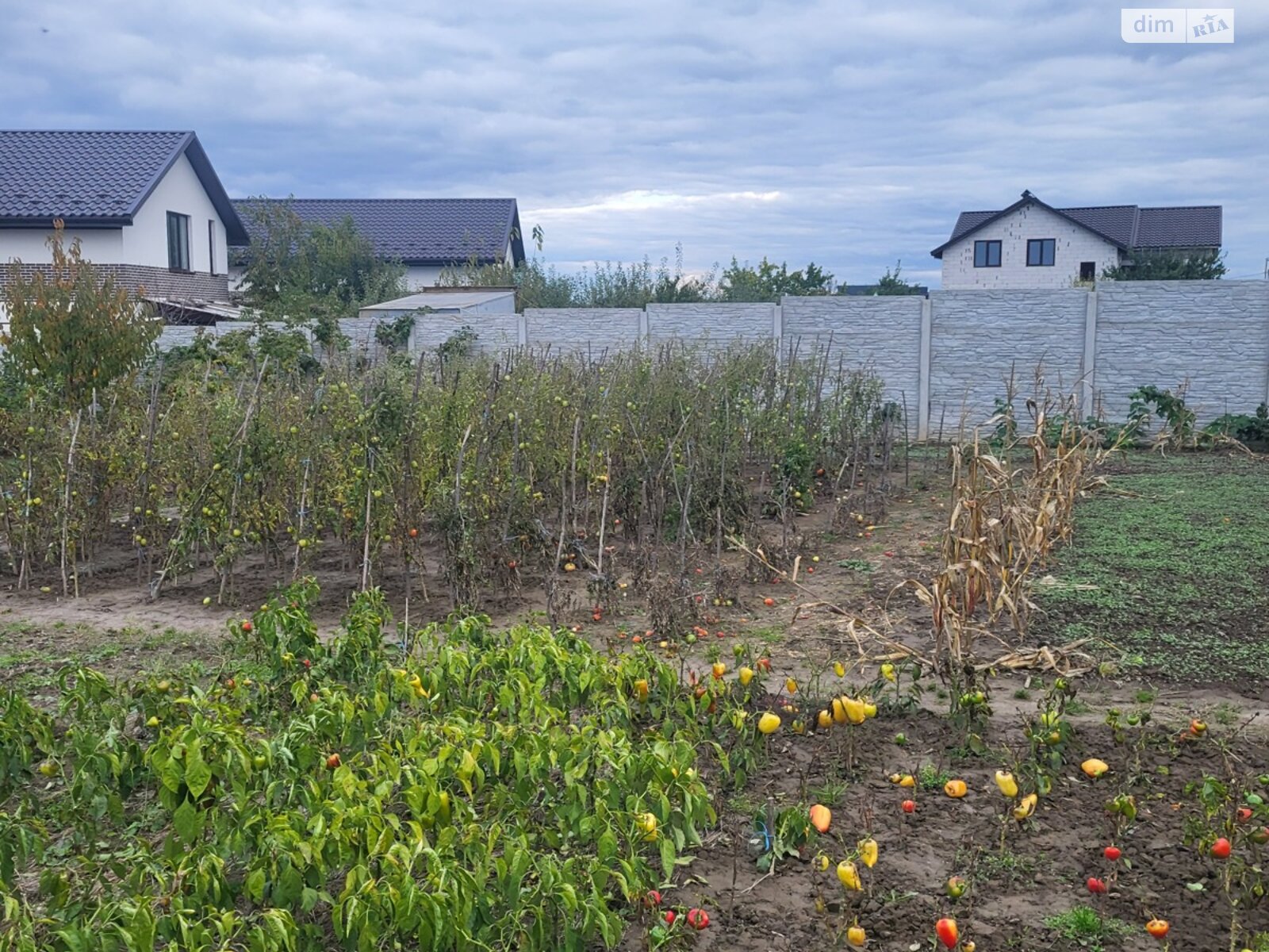 Земля сельскохозяйственного назначения в Бохониках, район Ленинский, площадь 7 соток фото 1 Земля сельскохозяйственного назначения в Бохониках, район Ленинский, площадь 7 соток фото 1