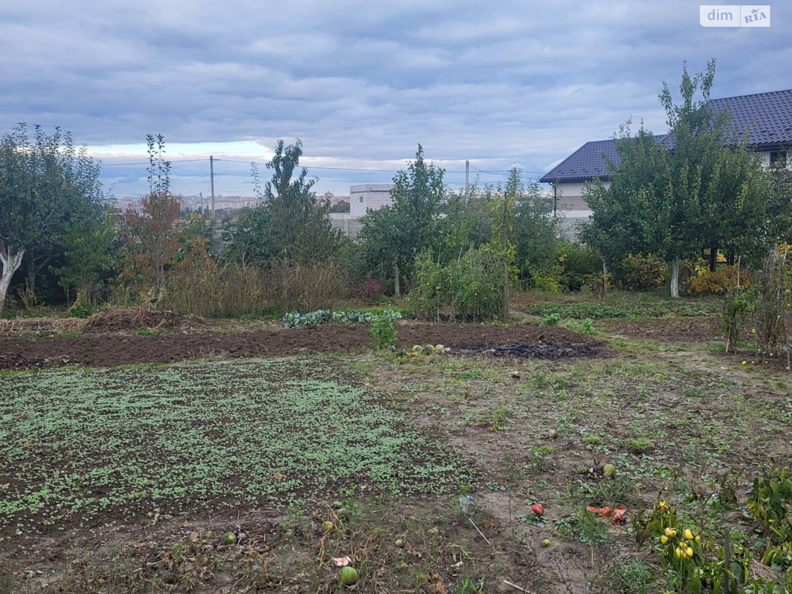 Земля сельскохозяйственного назначения в Бохониках, район Ленинский, площадь 7 соток фото 1 Земля сельскохозяйственного назначения в Бохониках, район Ленинский, площадь 7 соток фото 1