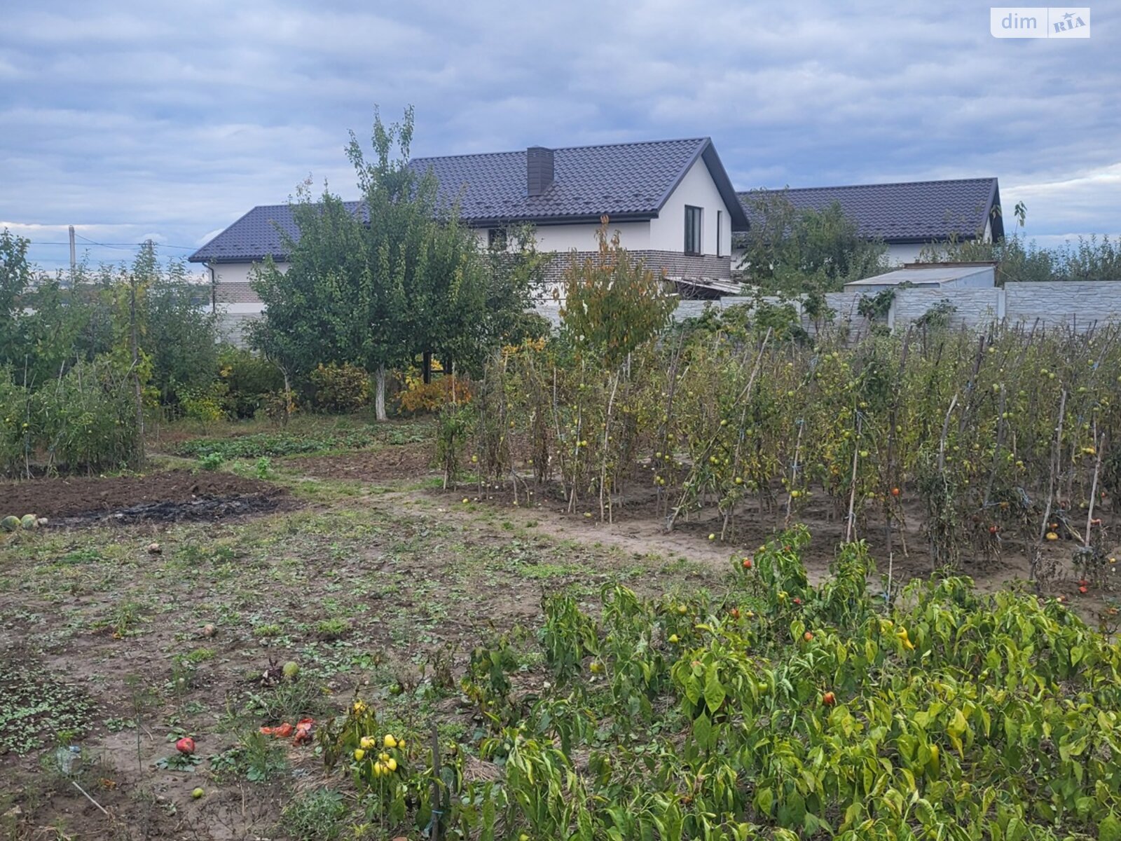Земля сельскохозяйственного назначения в Бохониках, район Ленинский, площадь 7 соток фото 1 Земля сельскохозяйственного назначения в Бохониках, район Ленинский, площадь 7 соток фото 1