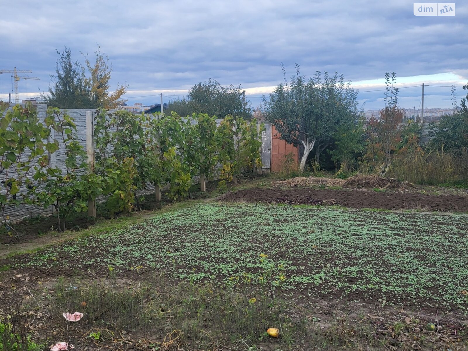 Земля сельскохозяйственного назначения в Бохониках, район Ленинский, площадь 7 соток фото 1 Земля сельскохозяйственного назначения в Бохониках, район Ленинский, площадь 7 соток фото 1