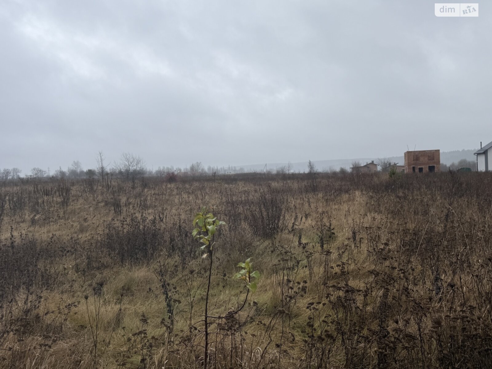 Земельна ділянка сільськогосподарського призначення в Прибузькому, площа 8 соток фото 1 Земельна ділянка сільськогосподарського призначення в Прибузькому, площа 8 соток фото 1