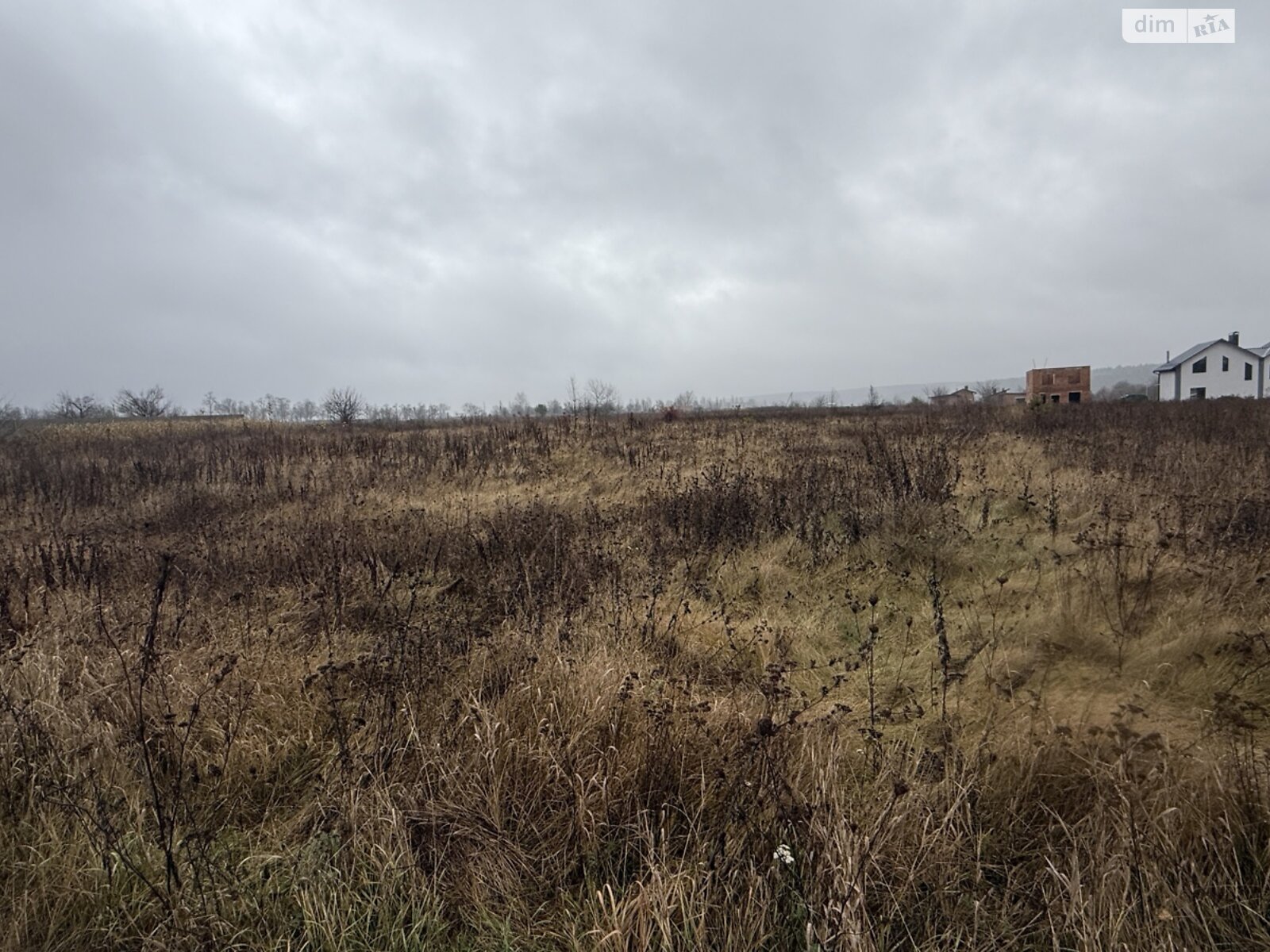 Земельна ділянка сільськогосподарського призначення в Прибузькому, площа 8 соток фото 1 Земельна ділянка сільськогосподарського призначення в Прибузькому, площа 8 соток фото 1