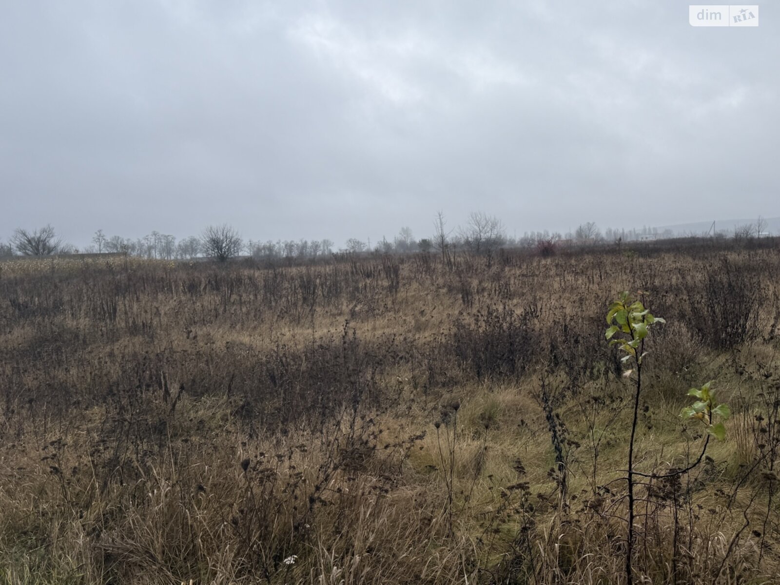 Земельна ділянка сільськогосподарського призначення в Прибузькому, площа 8 соток фото 1 Земельна ділянка сільськогосподарського призначення в Прибузькому, площа 8 соток фото 1