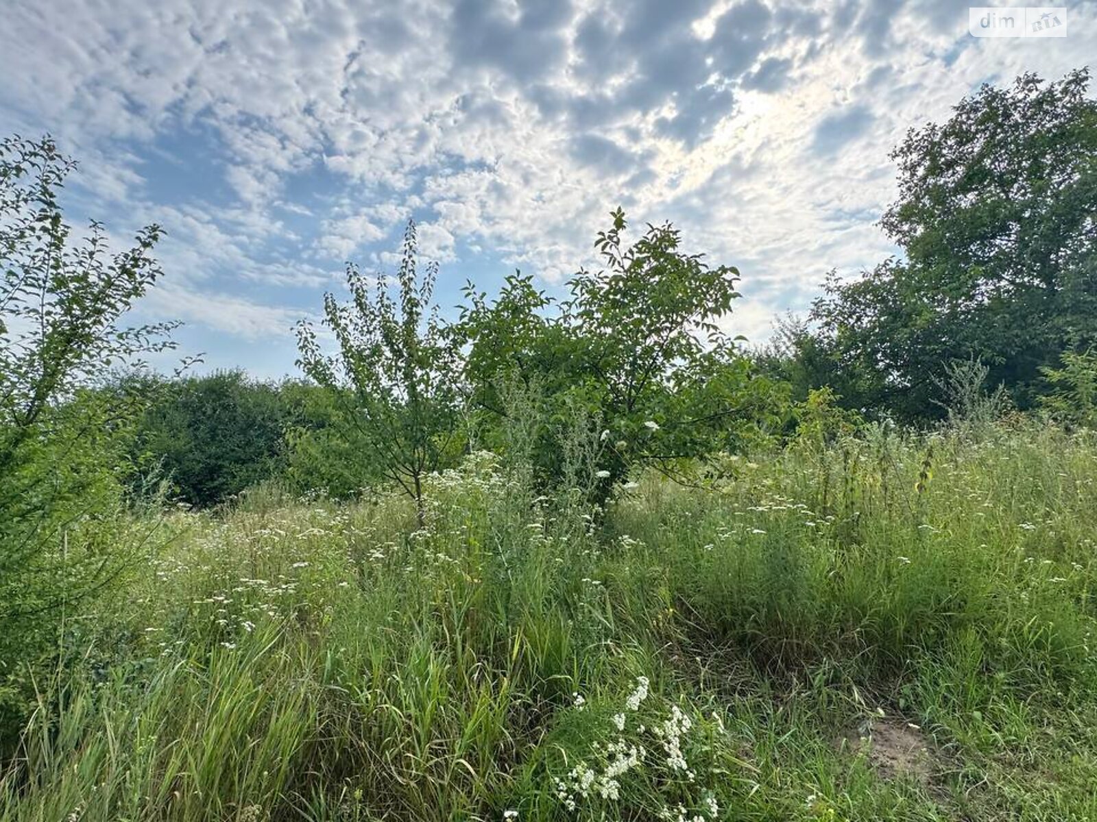 Земля сельскохозяйственного назначения в Виннице, район Барское шоссе, площадь 6.1 сотки фото 1