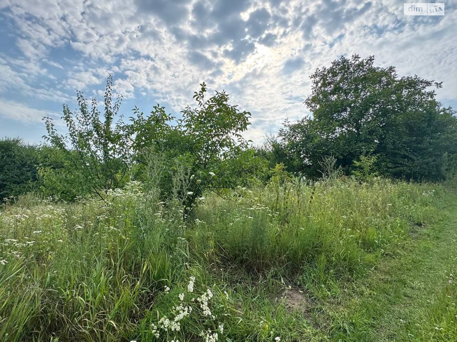 Земля сельскохозяйственного назначения в Виннице, район Барское шоссе, площадь 6.1 сотки фото 1