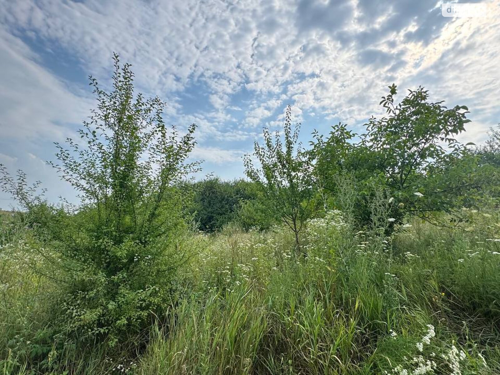 Земля сельскохозяйственного назначения в Виннице, район Барское шоссе, площадь 6.1 сотки фото 1