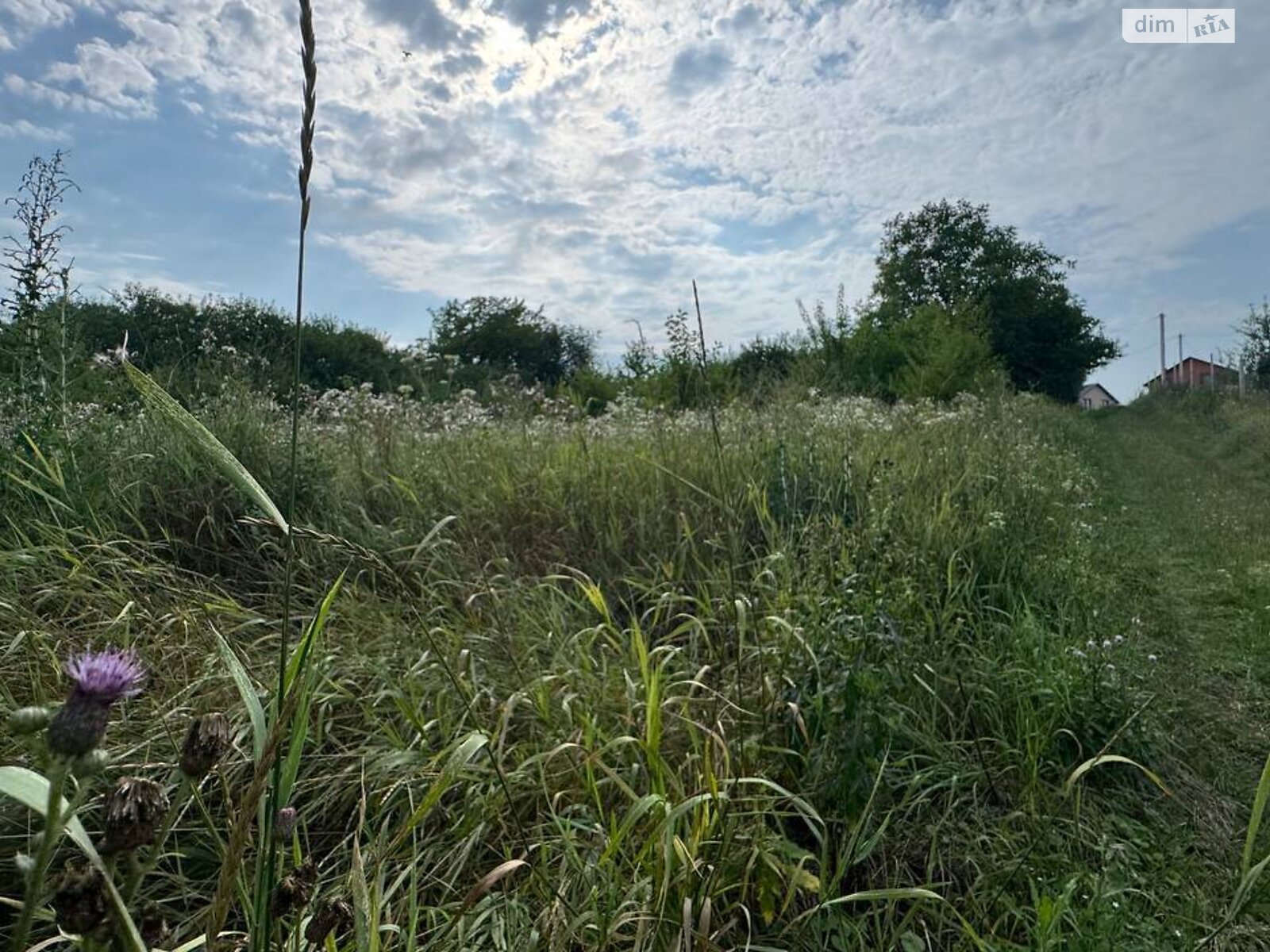 Земля сельскохозяйственного назначения в Виннице, район Барское шоссе, площадь 6.1 сотки фото 1