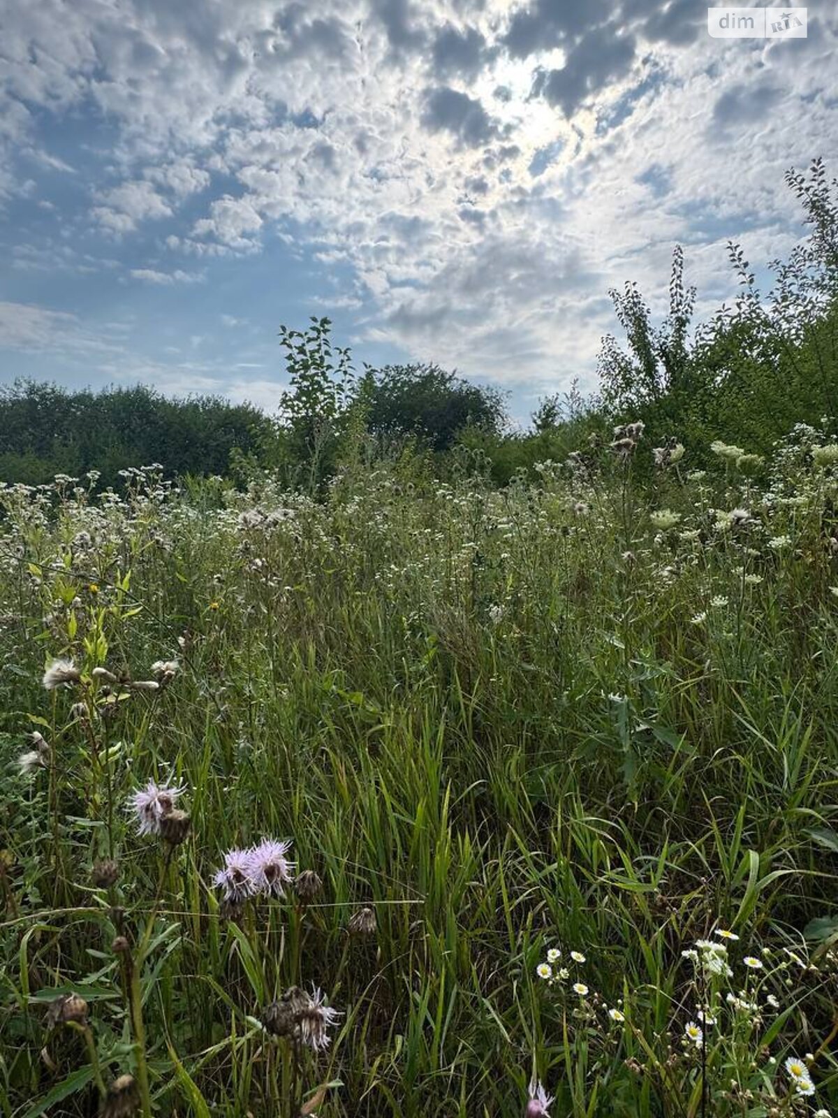 Земля сельскохозяйственного назначения в Виннице, район Барское шоссе, площадь 6.1 сотки фото 1