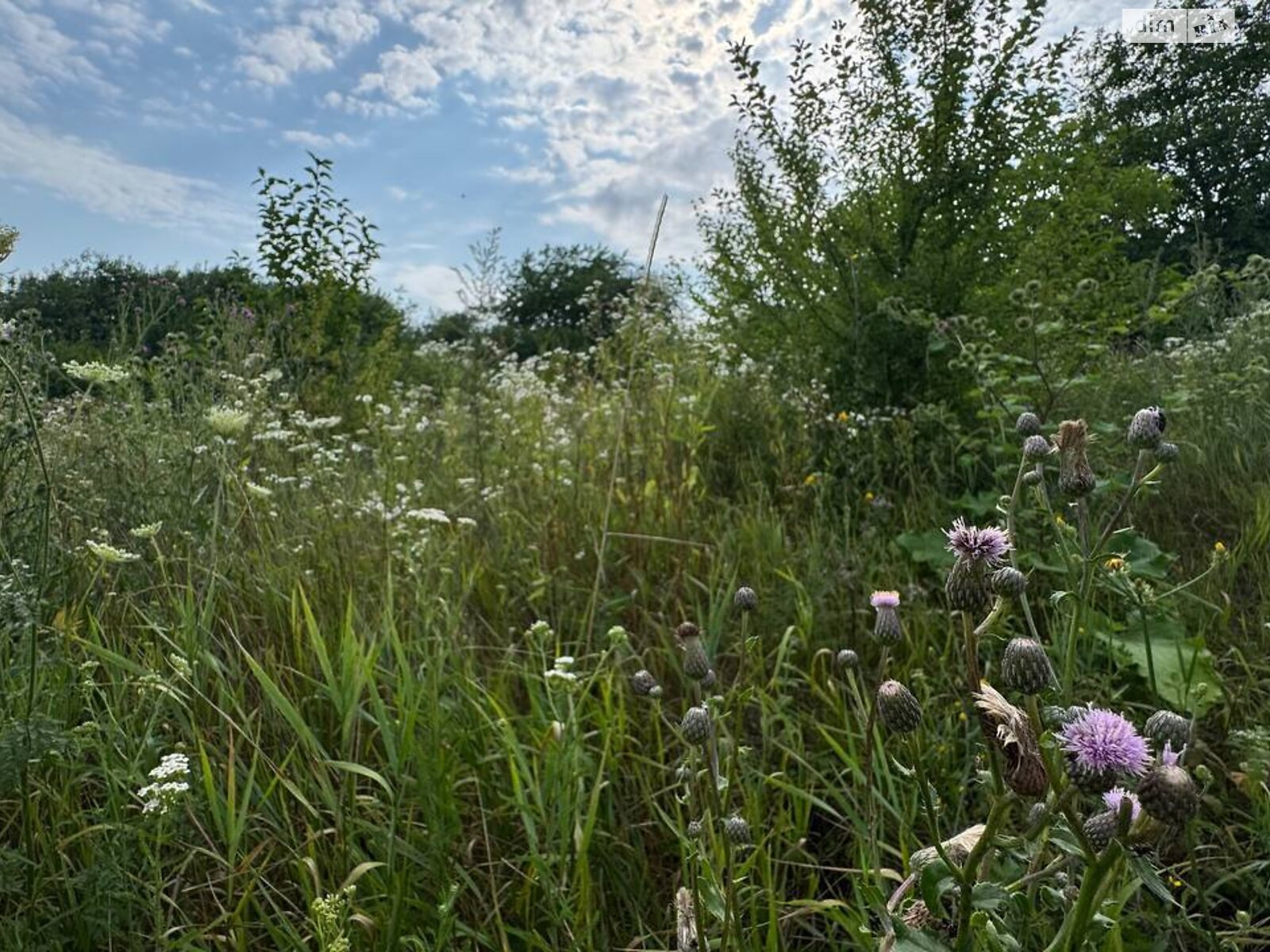 Земля сельскохозяйственного назначения в Виннице, район Барское шоссе, площадь 6.1 сотки фото 1