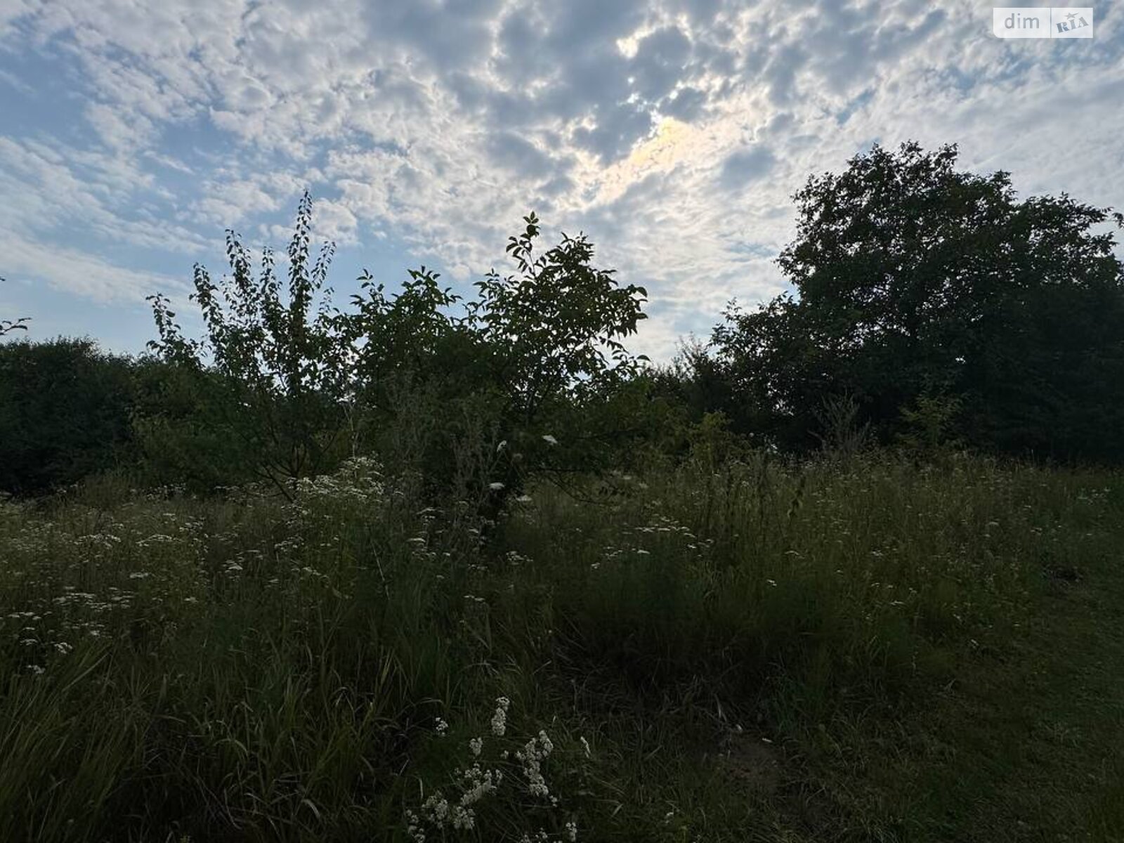 Земля сельскохозяйственного назначения в Виннице, район Барское шоссе, площадь 6.1 сотки фото 1