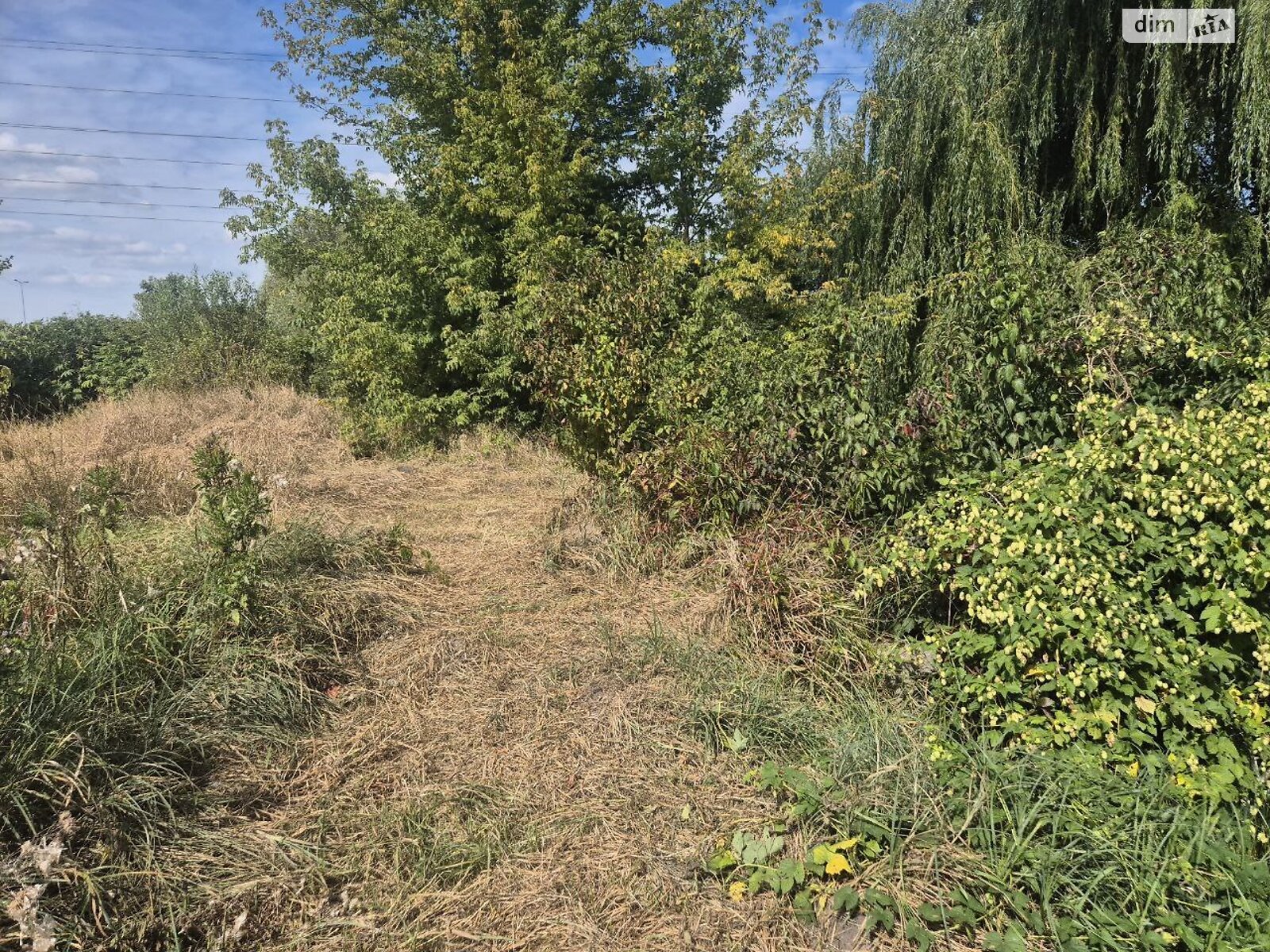 Земля сельскохозяйственного назначения в Виннице, район Барское шоссе, площадь 34 сотки фото 1