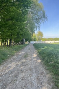 Земельна ділянка сільськогосподарського призначення в Якушинцях, площа 69.88 сотки фото 2