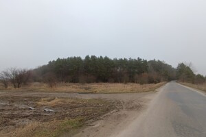 Земельна ділянка сільськогосподарського призначення в Некрасове, площа 10 соток фото 2