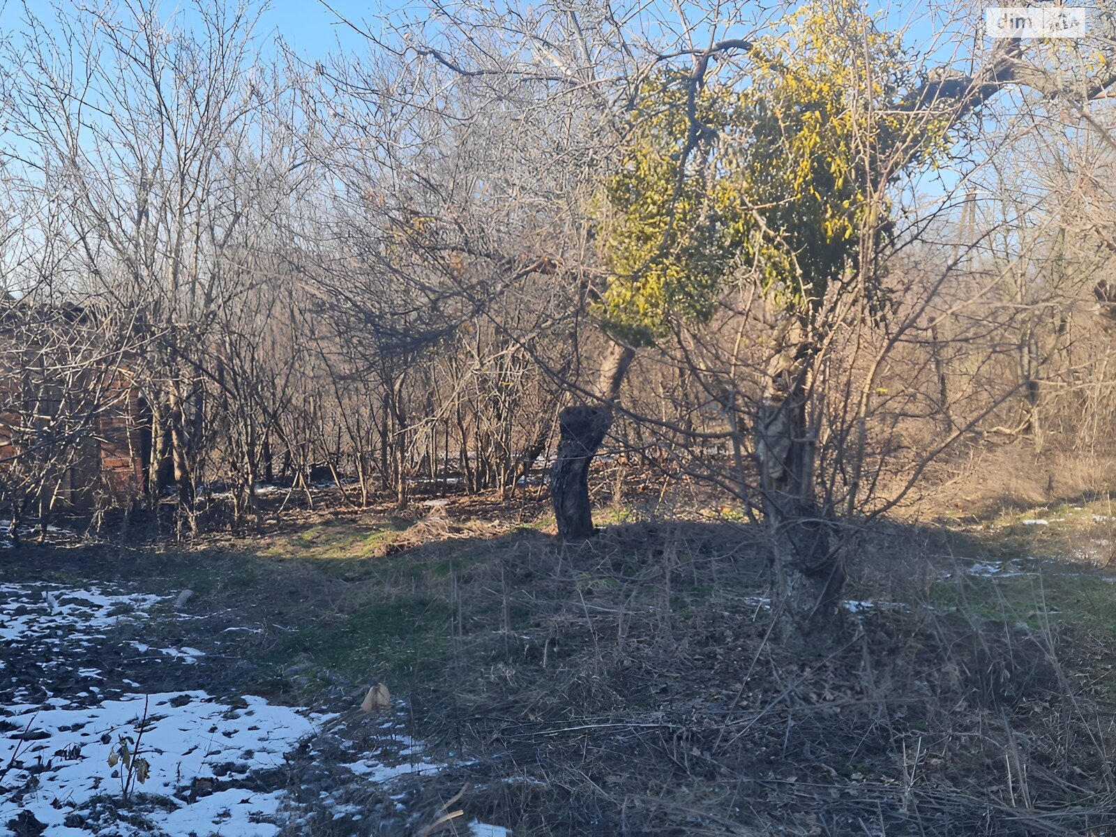 Земля сільськогосподарського призначення в Вінниці, район Бучми, площа 5.56 сотки фото 1