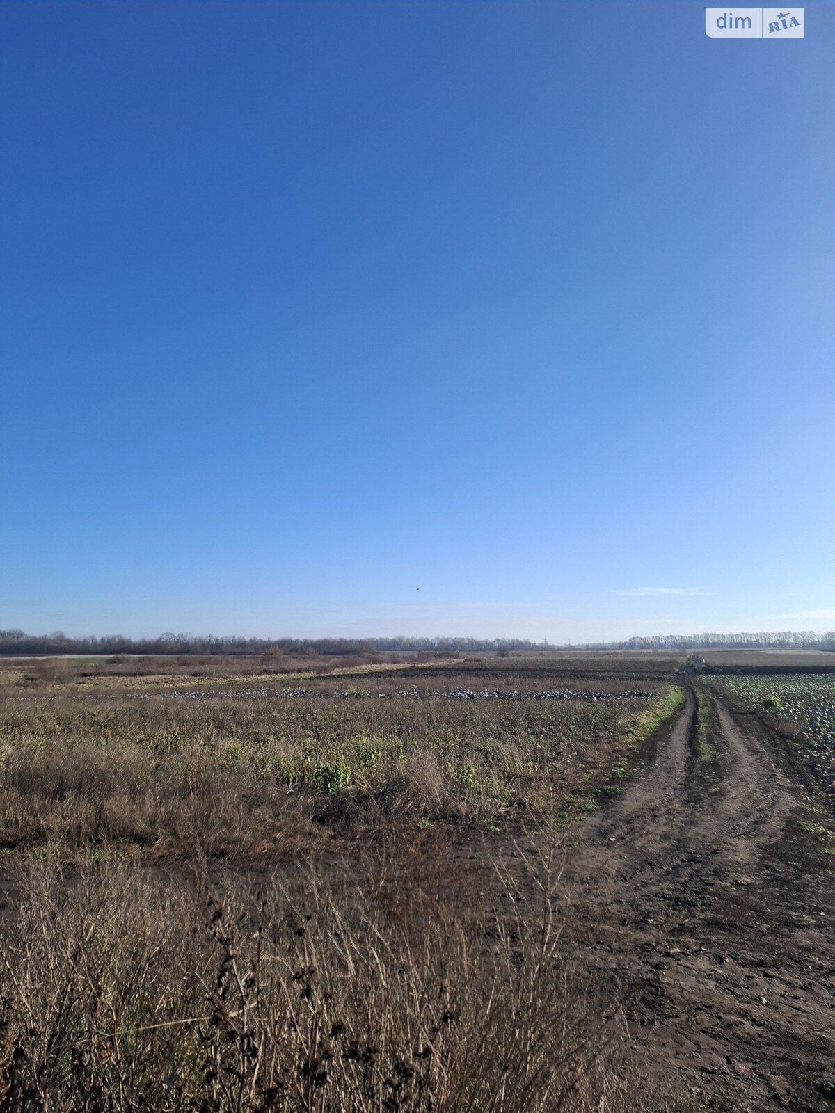 Земельна ділянка сільськогосподарського призначення в Вінниці, площа 10 соток фото 1