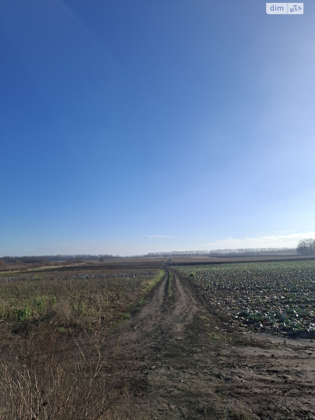 Земельна ділянка сільськогосподарського призначення в Вінниці, площа 10 соток фото 1