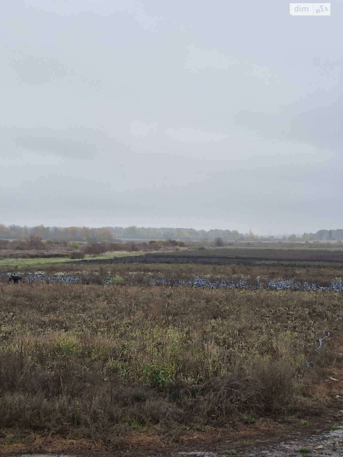 Земля сільськогосподарського призначення в Вінниці, район Дальнє замостя, площа 16 соток фото 1 Земля сільськогосподарського призначення в Вінниці, район Дальнє замостя, площа 16 соток фото 1