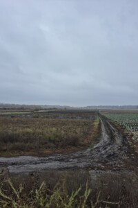 Земля сільськогосподарського призначення в Вінниці, район Дальнє замостя, площа 16 соток фото 2 Земля сільськогосподарського призначення в Вінниці, район Дальнє замостя, площа 16 соток фото 2